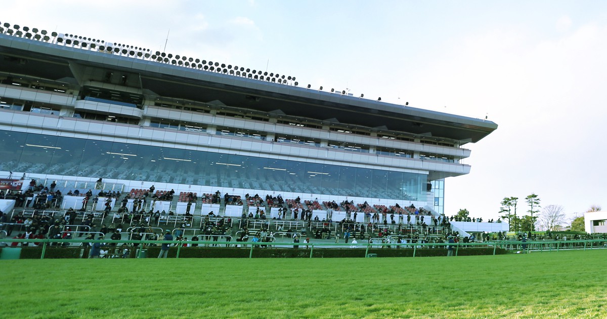 中山競馬場│ウマにときめく、とっておきの週末。 UMAJO 中山競馬場│ウマにときめく、とっておきの週末。 UMAJO