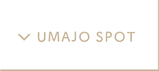 UMAJO SPOTとは