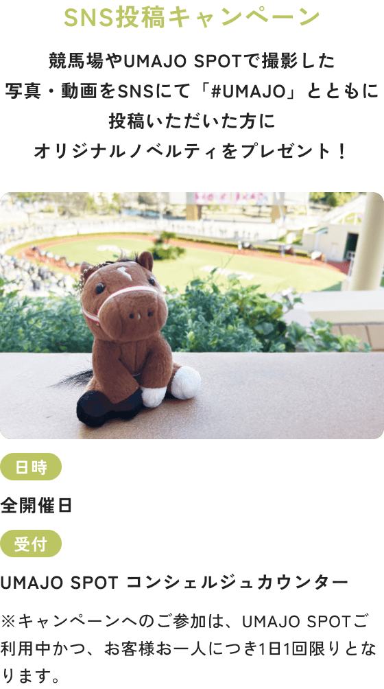 SNS投稿キャンペーン