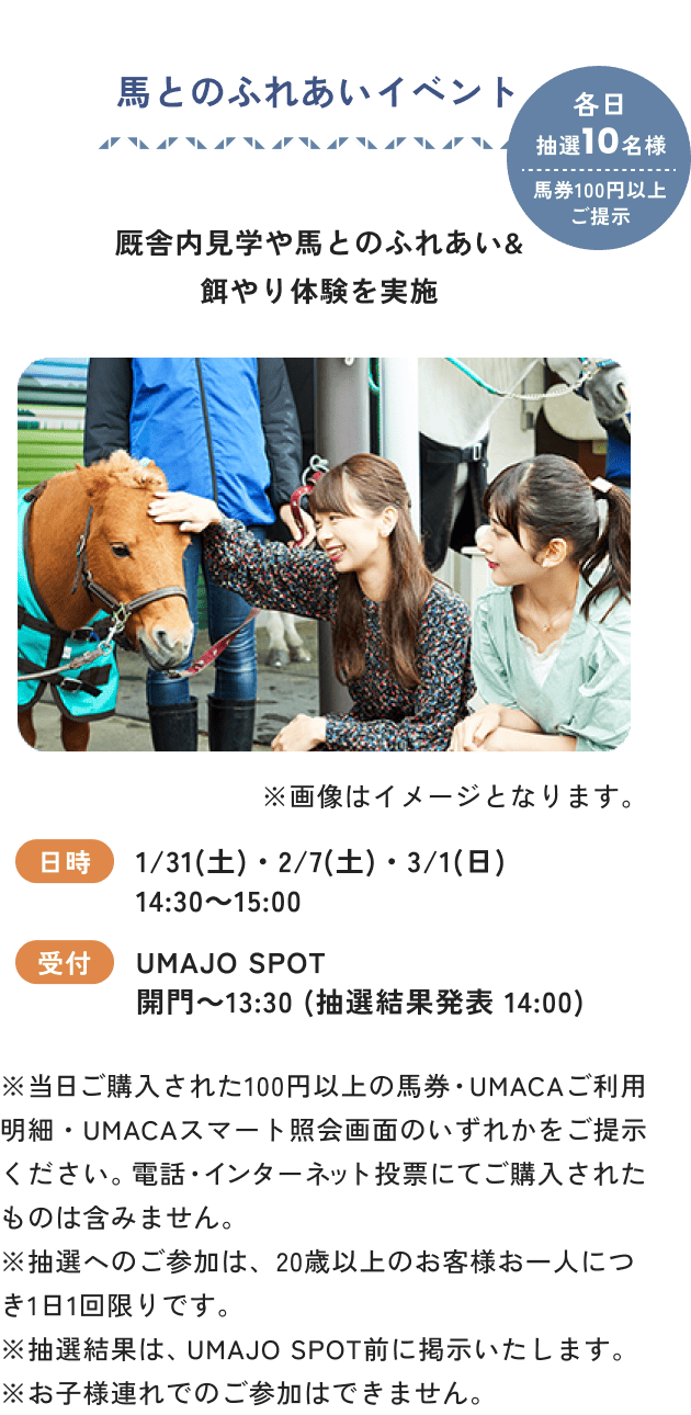 馬とのふれあいイベント