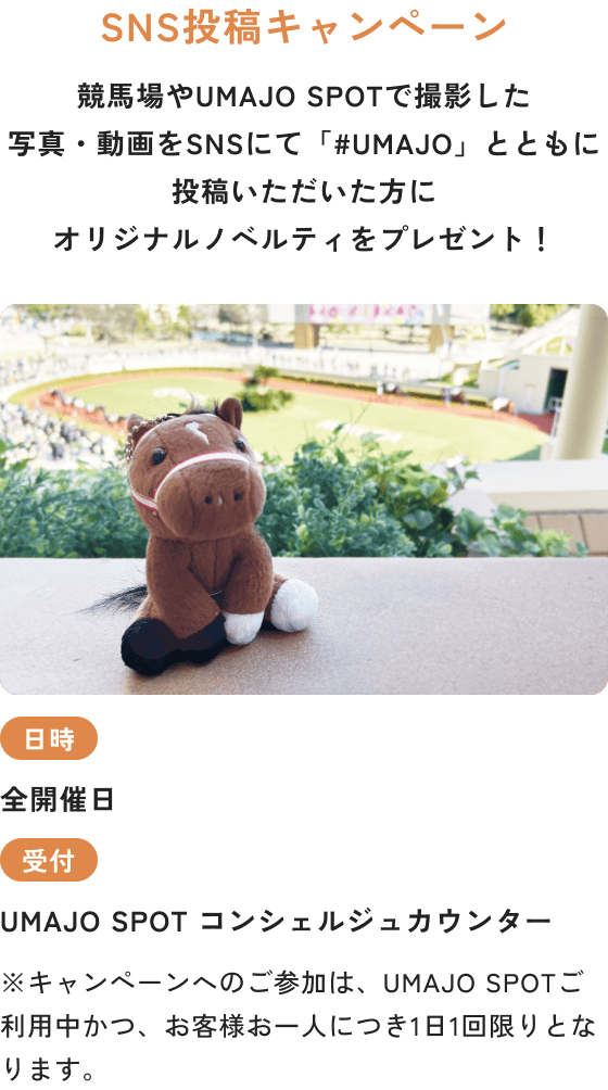 SNS投稿キャンペーン