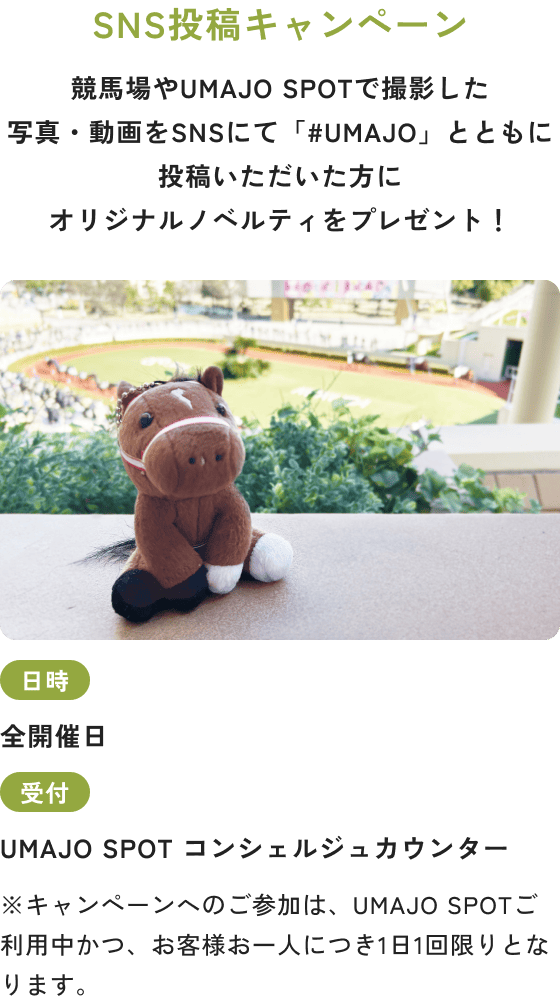 SNS投稿キャンペーン