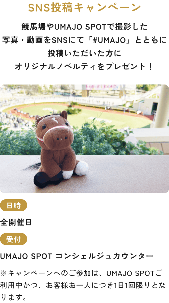 SNS投稿キャンペーン