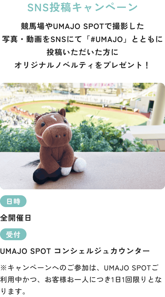 SNS投稿キャンペーン