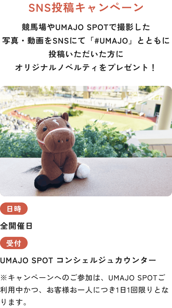 SNS投稿キャンペーン