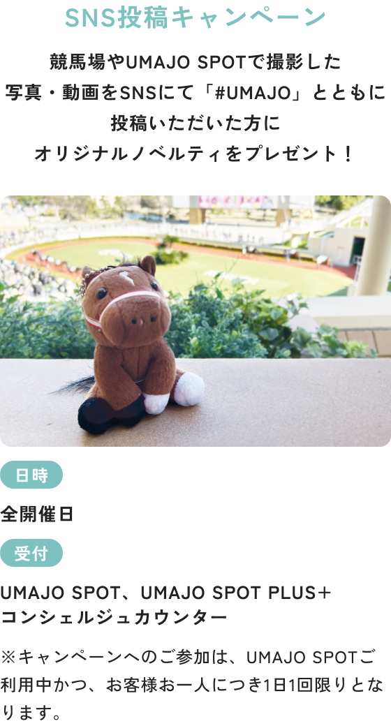 SNS投稿キャンペーン