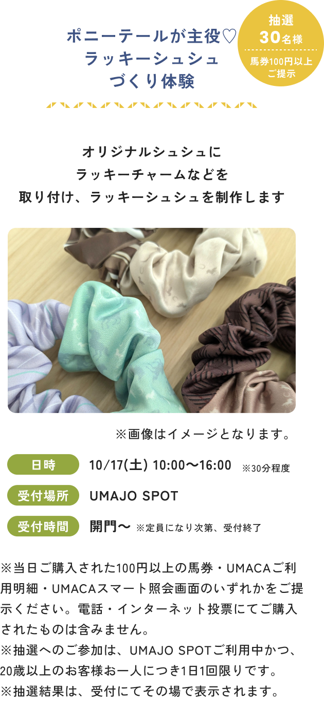 ラッキーシュシュ