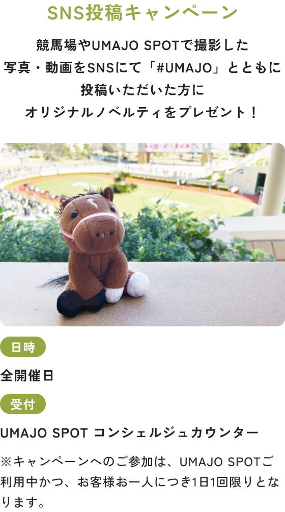 bigiSNS投稿キャンペーン