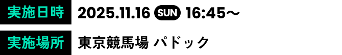 実施日時 2025.11.16 SUN  16:45～ 実施場所 東京競馬場 パドック