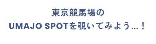 UMAJO SPOTがある競馬場はこちら