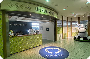 UMAJO SPOT