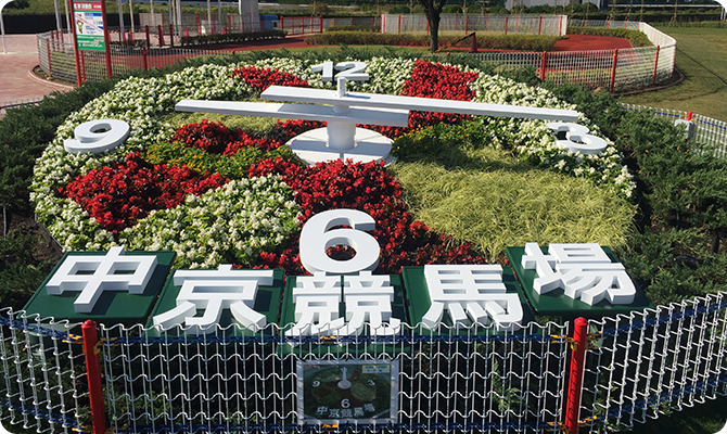 季節のお花でできた大きな花時計