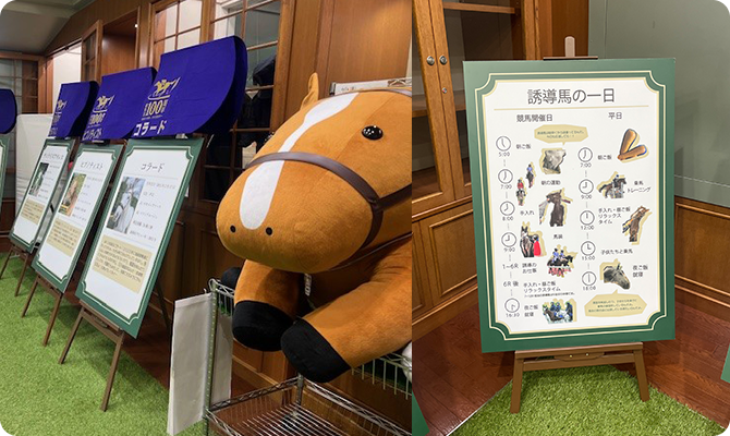 ターフィーショップ内には誘導馬ブースも