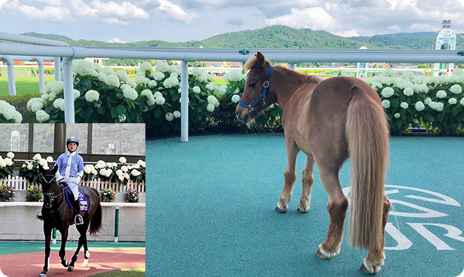 季節ごとのお花たちを楽しんで♪