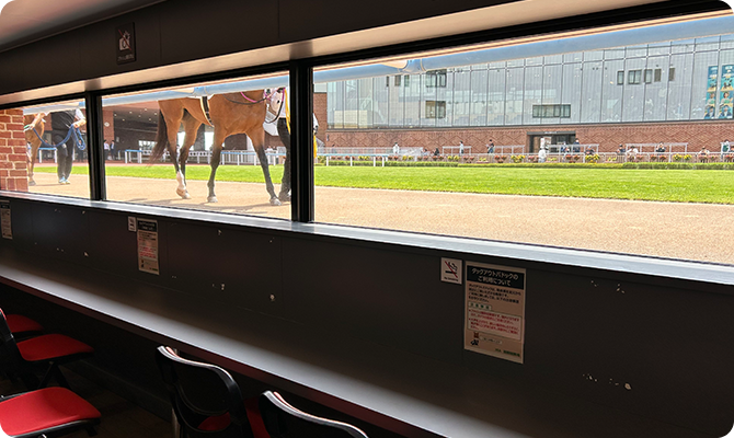 おウマを脚もとから観察できるダッグアウトパドック