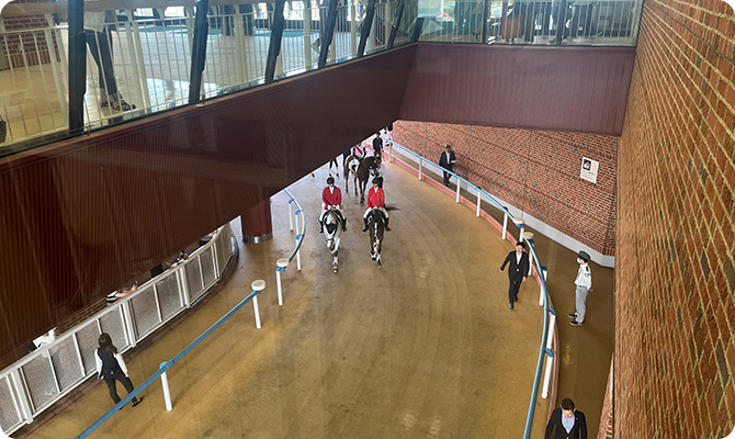 レースへ向かうおウマとジョッキーを上から見れるホースヴィスタ