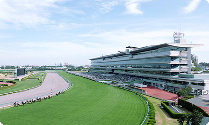 競馬場情報 阪神競馬場