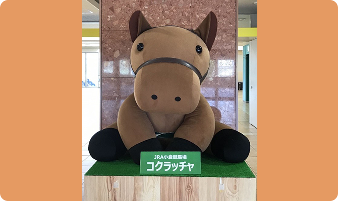 写真を撮ると幸運が訪れると言われているコクラッチャ