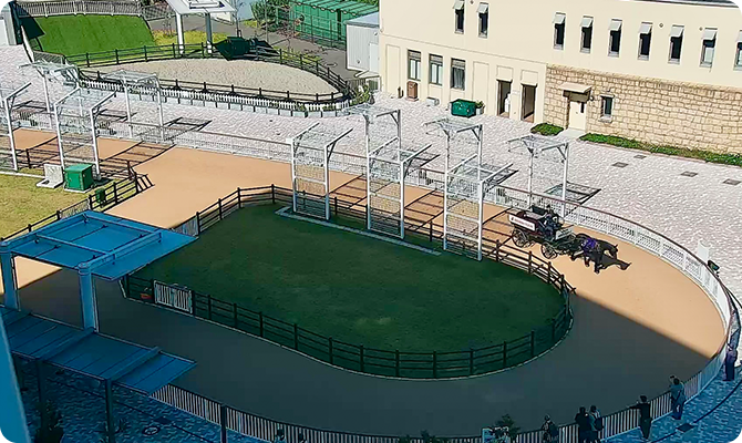 おひさまホースリンクで普段では会えない馬と触れ合ってみよう！