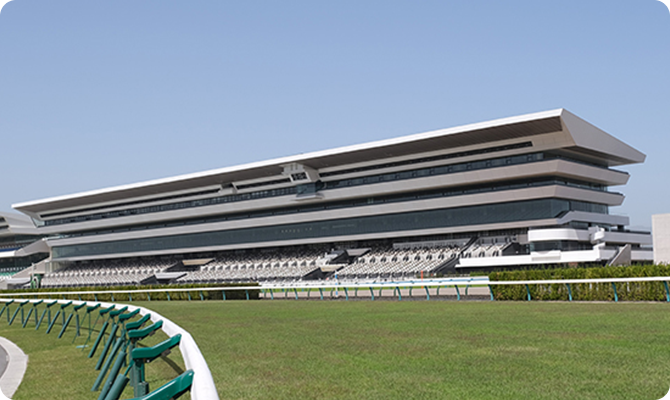 競馬場情報 京都競馬場