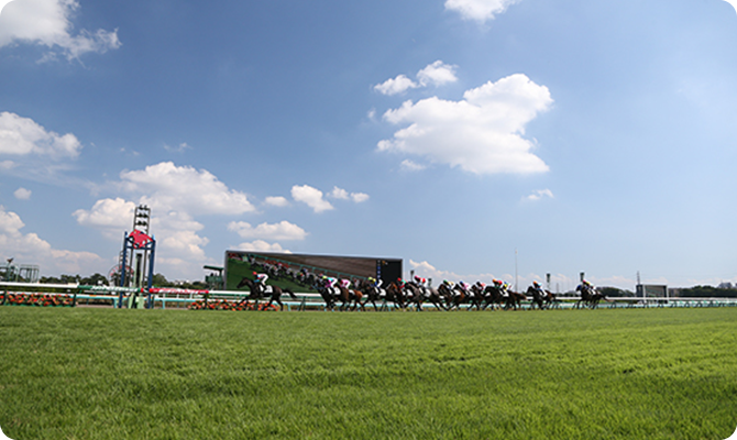 競馬場情報 中山競馬場