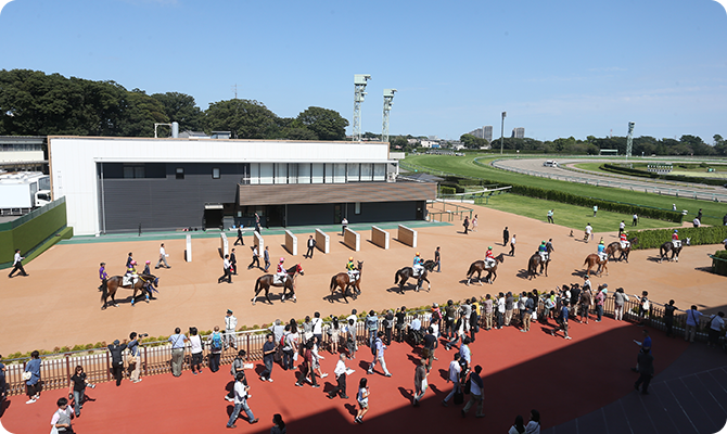 有馬記念歴代優勝馬のプレートが飾られているグランプリロード