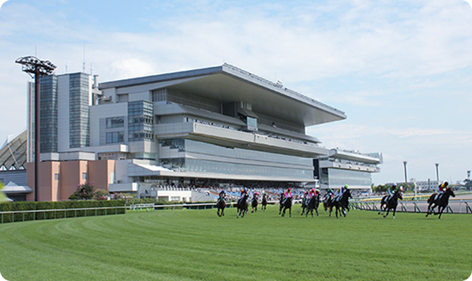 競馬場情報 新潟競馬場