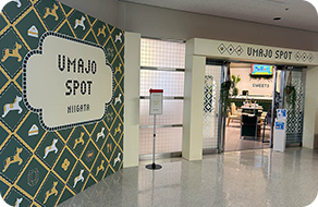 UMAJO SPOT