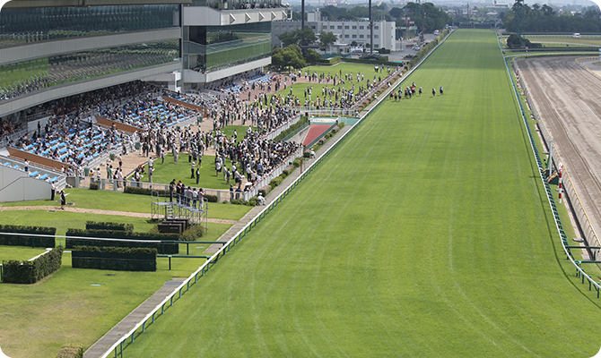 大迫力！日本唯一の直線1000mコース