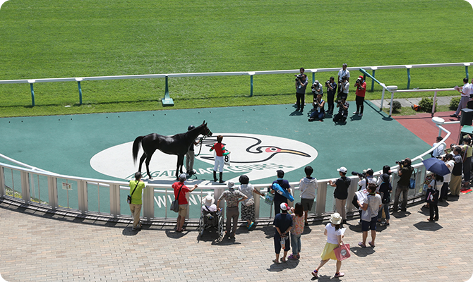 優勝馬を間近で見れるウイナーズサークル