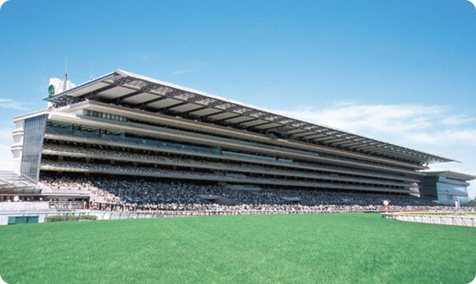 競馬場情報 東京競馬場