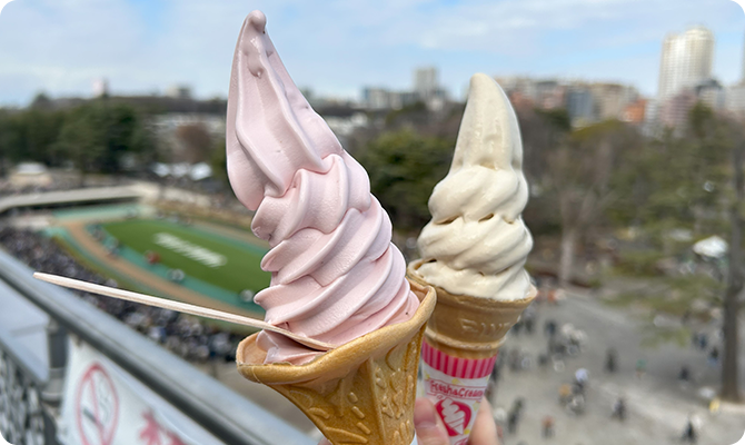 あまおうソフトとモカソフトは東京競馬場の名物！