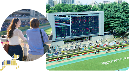 いよいよメインレース!