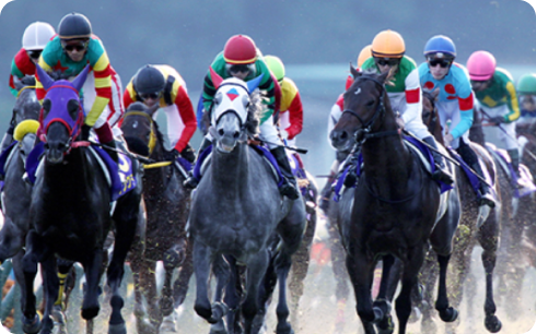 いよいよメインレース!