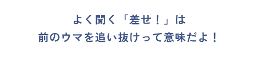 よく聞く「差せ!」は前のウマを追い抜けって意味だよ!
