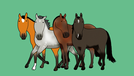 サラブレッドの毛色は全部で何種類？