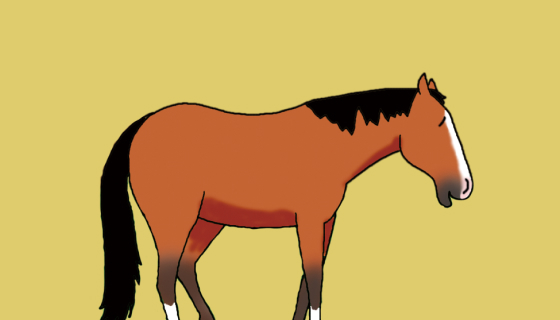 サラブレッドの平均寿命はどれくらい？