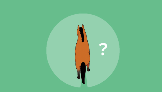 サラブレッドの視野はどれくらい？