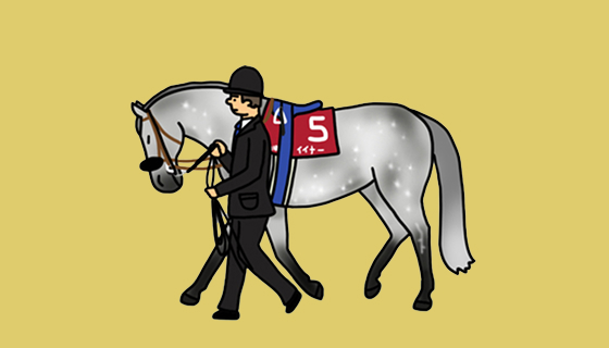 サラブレッドの平均体重はどれくらい？