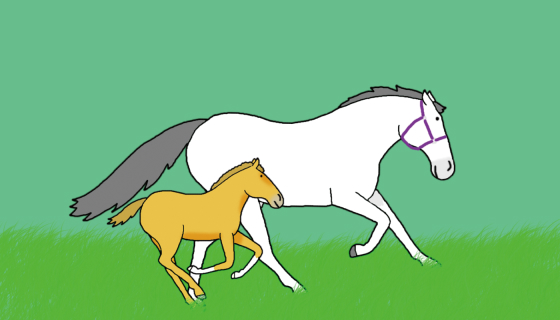 仔馬は、生まれてからどれくらいで立ち上がることができる？