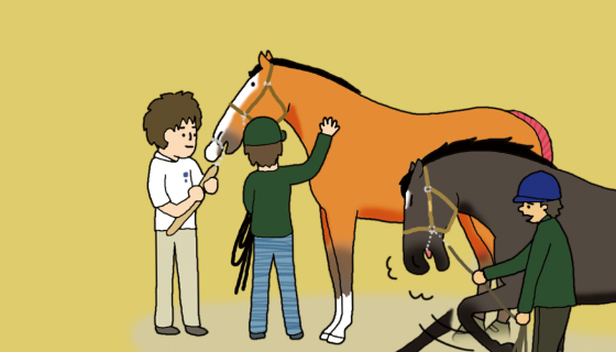 人気種牡馬は、一日にどれくらい種付けする？