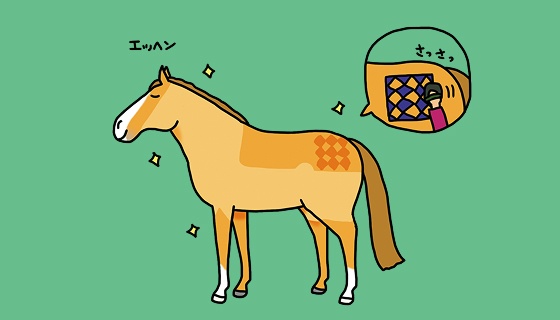馬はおしゃれする？しない？