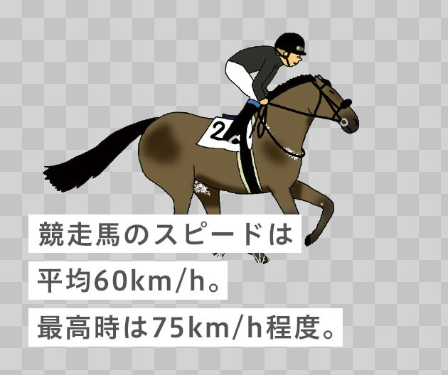 競走馬のスピードは平均60km/h。最高時は75km/h程度。