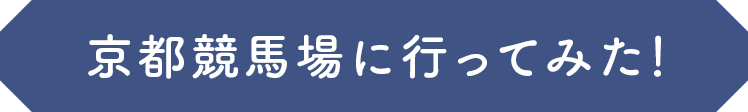 東京競馬場に行ってみた！